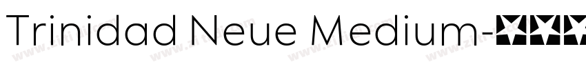 Trinidad Neue Medium字体转换